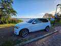 BMW X5 UNIEKE BMW X5 Xdrive50i V8 (450PK) | FULL OPTION Weiß - thumbnail 17