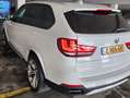 BMW X5 UNIEKE BMW X5 Xdrive50i V8 (450PK) | FULL OPTION Weiß - thumbnail 4