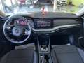 Skoda Octavia 1.5 TSI MHEV Style DSG Negro - thumbnail 17