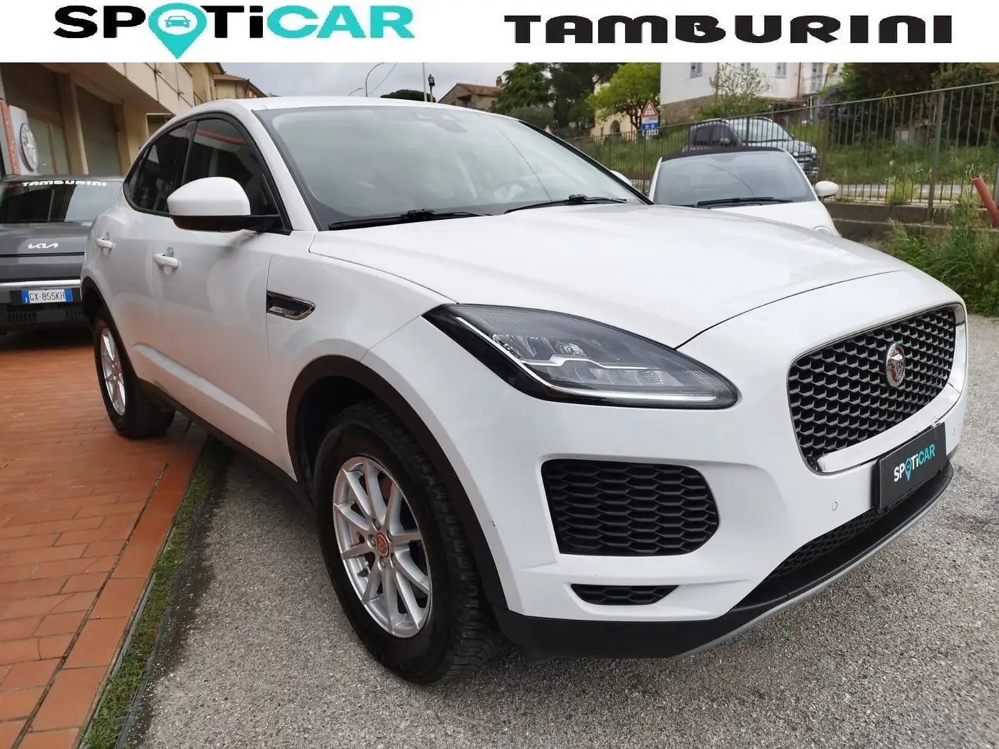 Jaguar E-Pace 2.0D 150 CV AWD aut. SE Bianco - 1