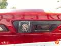 Jaguar E-Pace 2.0D I4 SE AWD Aut. 180 Rojo - thumbnail 24
