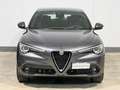 Alfa Romeo Stelvio 2.2 t  Q4 190cv auto *PREZZO REALE* Grigio - thumbnail 2