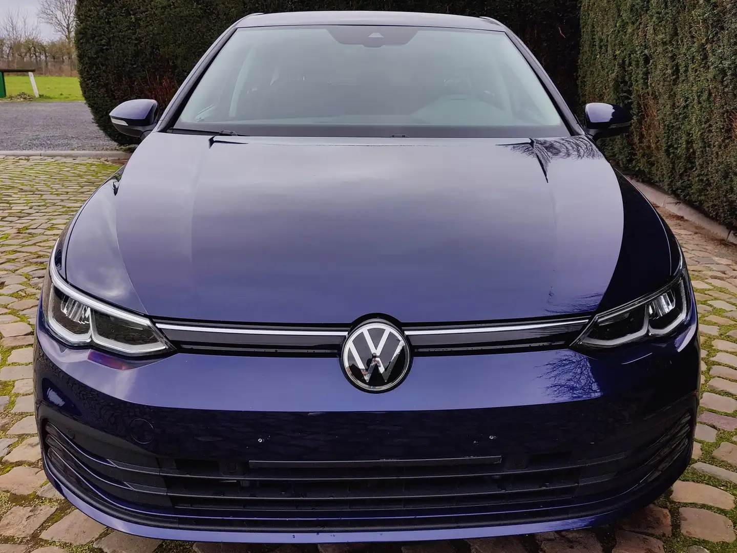 Volkswagen Golf 1.5 TSI Life OPF Bleu - 2