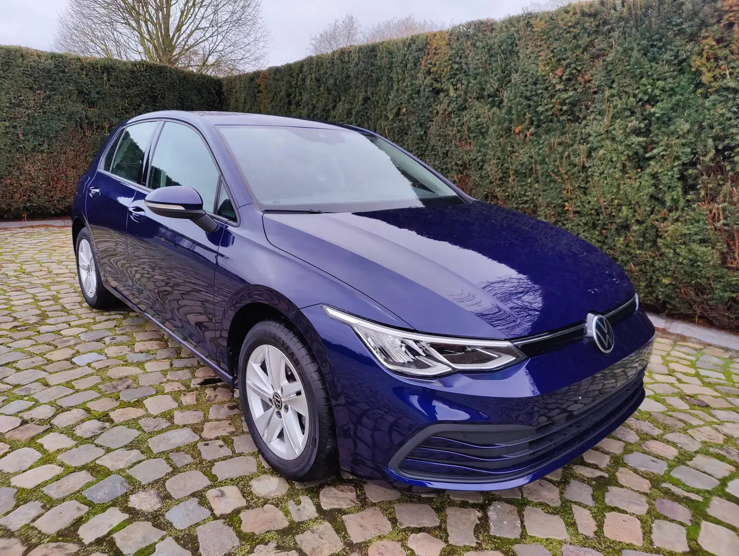 Volkswagen Golf 1.5 TSI Life OPF Bleu - 1