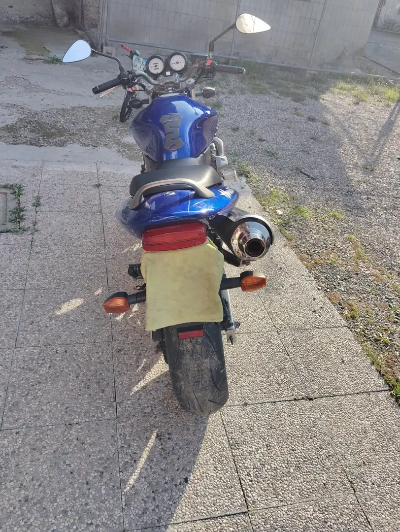 Honda Hornet 600 Blu/Azzurro - 2