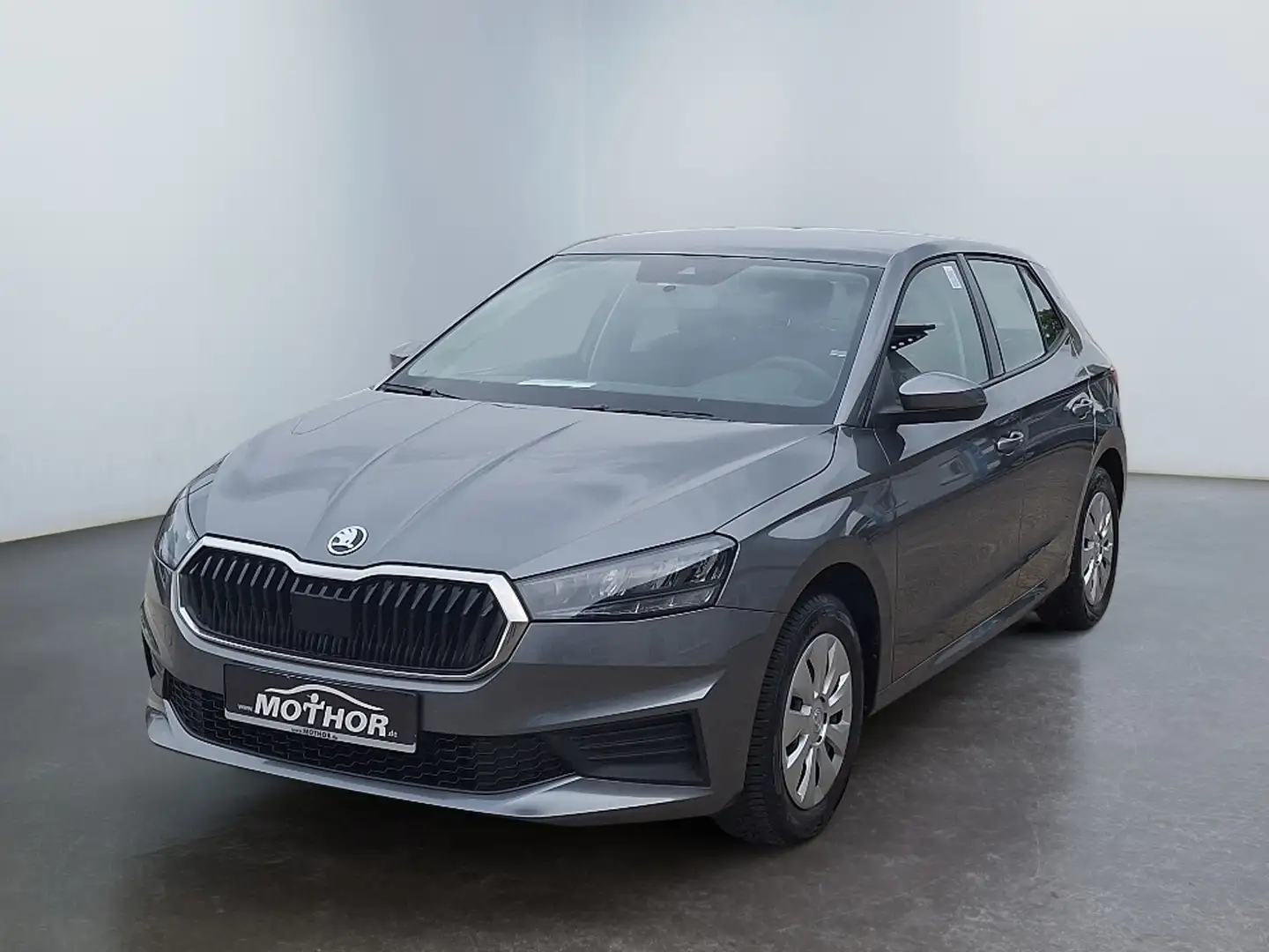 Skoda Fabia Active 1.0 MPI LED W-Paket PDC SHZ Grijs - 2