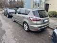 Ford S-Max 2.0 Eco Boost Aut. Start-Stopp Titanium Grau - thumbnail 4