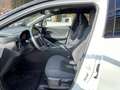 Toyota C-HR 2,0 Plug-In Hybrid E-CVT Active Drive Weiß - thumbnail 23