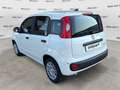 Fiat Panda 1.0 FireFly S&S Hybrid Blanco - thumbnail 6