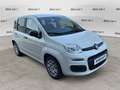 Fiat Panda 1.0 FireFly S&S Hybrid Blanco - thumbnail 1