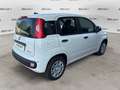 Fiat Panda 1.0 FireFly S&S Hybrid Blanco - thumbnail 7