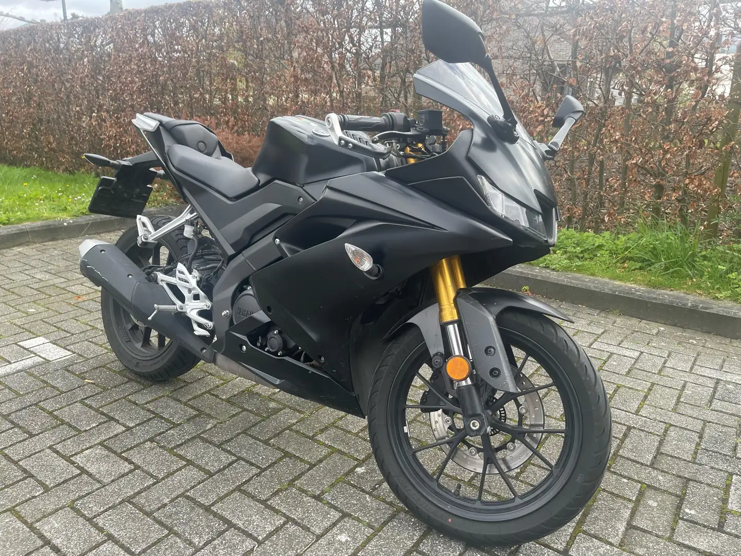 Yamaha YZF-R125 125 cc 2021 Zwart - 1