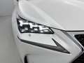 Lexus NX 300h AWD F Sport Line Panorama dak | lederen interieur Weiß - thumbnail 41