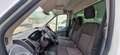 Ford Transit FT 350 L2 Chasis Ambiente 125 Weiß - thumbnail 9