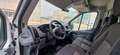 Ford Transit FT 350 L2 Chasis Ambiente 125 Weiß - thumbnail 8