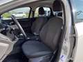 Ford Focus 1.5 TDCi 120 CV Start&Stop SW Titanium Grigio - thumbnail 9