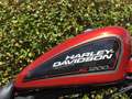 Harley-Davidson Sportster 1200 Czerwony - thumbnail 4