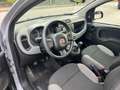 Fiat Panda 1.0 FireFly S&S Hybrid Red Bronzo - thumbnail 11