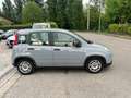 Fiat Panda 1.0 FireFly S&S Hybrid Red Bronzo - thumbnail 12