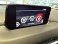 Mazda CX-5 CD150 AWD Revolution *servicegepflegt*AHK* Bianco - thumbnail 15