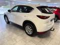 Mazda CX-5 CD150 AWD Revolution *servicegepflegt*AHK* Bianco - thumbnail 5