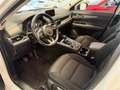 Mazda CX-5 CD150 AWD Revolution *servicegepflegt*AHK* Bianco - thumbnail 6