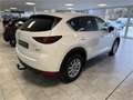 Mazda CX-5 CD150 AWD Revolution *servicegepflegt*AHK* Bianco - thumbnail 4