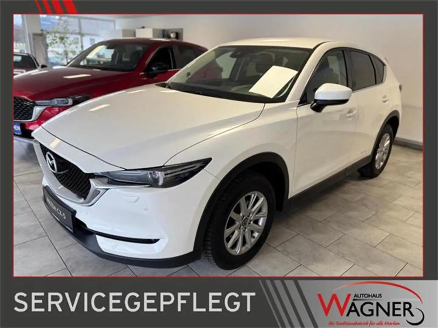 Mazda CX-5 CD150 AWD Revolution *servicegepflegt*AHK* Bianco - 1