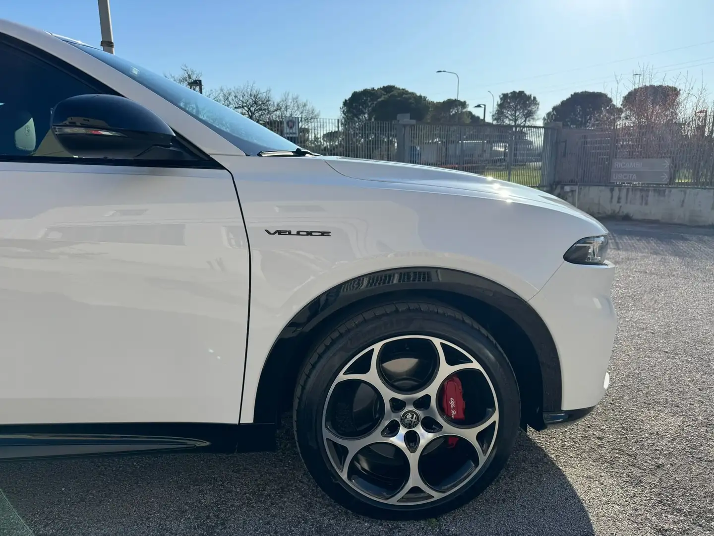 Alfa Romeo Tonale diesel 1.6 130cv Veloce Fari Matrix Led Bianco - 2