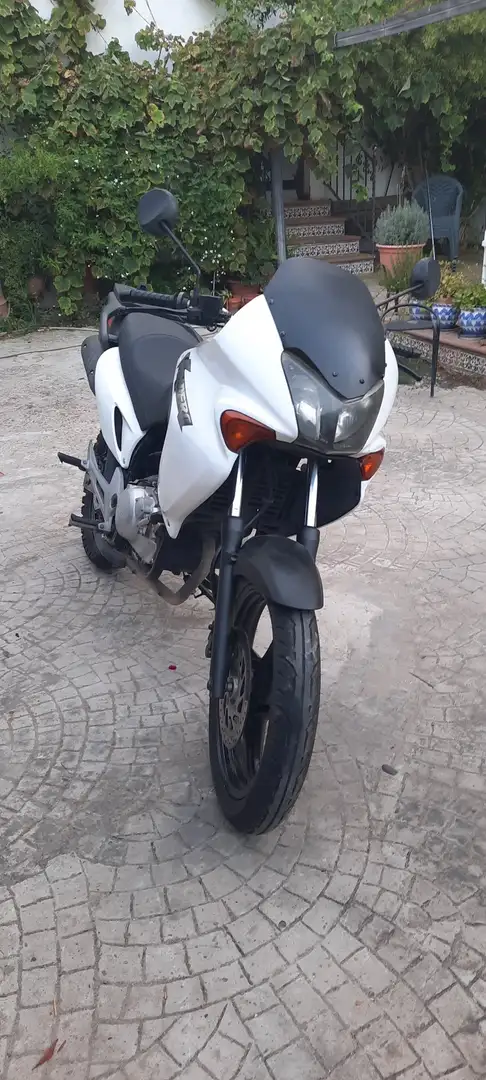 Honda XL 125 - 1