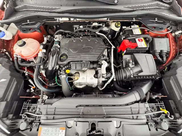 Ford Kuga view 12