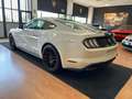 Ford Mustang Fastback 5.0 V8 GT  CERTIFICATA FORD EUROPEA Wit - thumbnail 10