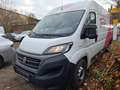 Fiat Ducato Maxi Grossr.-Kasten 35 140 L5H2  TOP ! Weiß - thumbnail 1