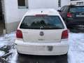 Volkswagen Polo Polo III Comfortline Weiß - thumbnail 2