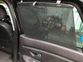 Renault Scenic Energy Limited#2 1.3TCe 116pk Noir - thumbnail 23
