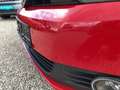 Volkswagen Golf Plus TSi DSG Nur für Gewerbe und Export AUT Rojo - thumbnail 6