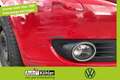 Volkswagen Golf Plus TSi DSG Nur für Gewerbe und Export AUT Rojo - thumbnail 1