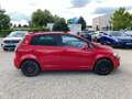 Volkswagen Golf Plus TSi DSG Nur für Gewerbe und Export AUT Rojo - thumbnail 21