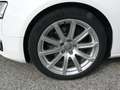 Audi A5 Cabrio 2.0 tfsi 211cv GPL Blanc - thumbnail 12