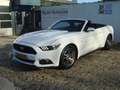 Ford Mustang Ford Cabrio 2.3 ecoboost Bianco - thumbnail 1