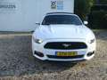 Ford Mustang Ford Cabrio 2.3 ecoboost Bianco - thumbnail 7