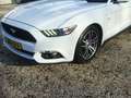 Ford Mustang Ford Cabrio 2.3 ecoboost Bianco - thumbnail 8