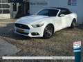 Ford Mustang Ford Cabrio 2.3 ecoboost Bianco - thumbnail 2