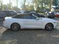 Ford Mustang Ford Cabrio 2.3 ecoboost Bianco - thumbnail 6