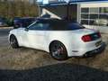 Ford Mustang Ford Cabrio 2.3 ecoboost Bianco - thumbnail 5