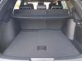BYD Seal U Seal U DM-i 1.5 phev Design awd Blu/Azzurro - thumbnail 15
