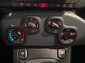 Fiat Panda 1.0 firefly hybrid s&s 70cv 5p.ti Bleu - thumbnail 12