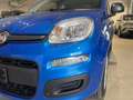 Fiat Panda 1.0 firefly hybrid s&s 70cv 5p.ti Bleu - thumbnail 6