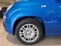 Fiat Panda 1.0 firefly hybrid s&s 70cv 5p.ti Bleu - thumbnail 5