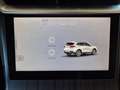 GWM WEY 03 Luxury PHEV Navi LED 360° Ka. 130 KM elek Blau - thumbnail 19